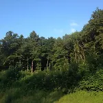 Ferienwohnung-eldorstal-2-urlaub-mit-hund-in-bad-harzburg *