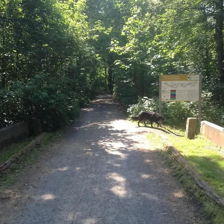 Apartamento Ferienwohnung-eldorstal-2-urlaub-mit-hund-in-bad-harzburg