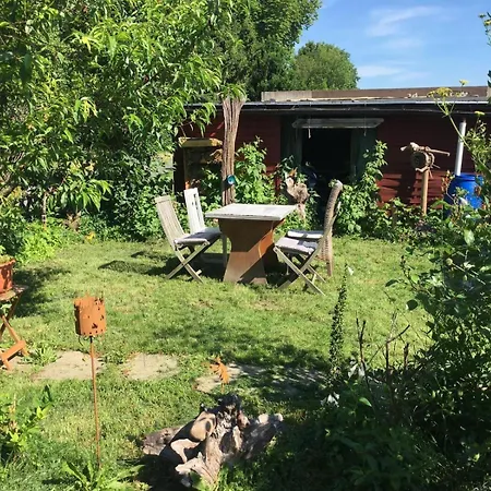 Lejlighed Ferienwohnung-eldorstal-2-urlaub-mit-hund-in-bad-harzburg