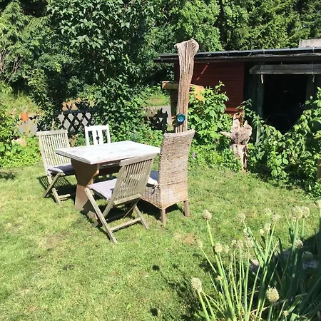 Ferienwohnung-eldorstal-2-urlaub-mit-hund-in-bad-harzburg 公寓 *