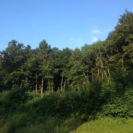 Eldorstal 2 - Urlaub Mit Hund In * Bad Harzburg